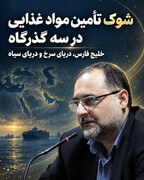 شوک تامین مواد غذایی در سه گذرگاه خلیج فارس،  دریای سرخ و دریای سیاه
