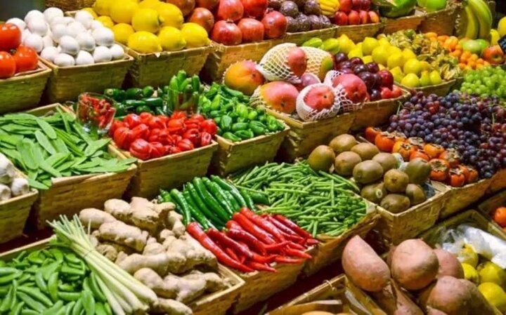 آمار صادرات مواد غذایی ایران؛ ارزش، حجم و روند صادرات