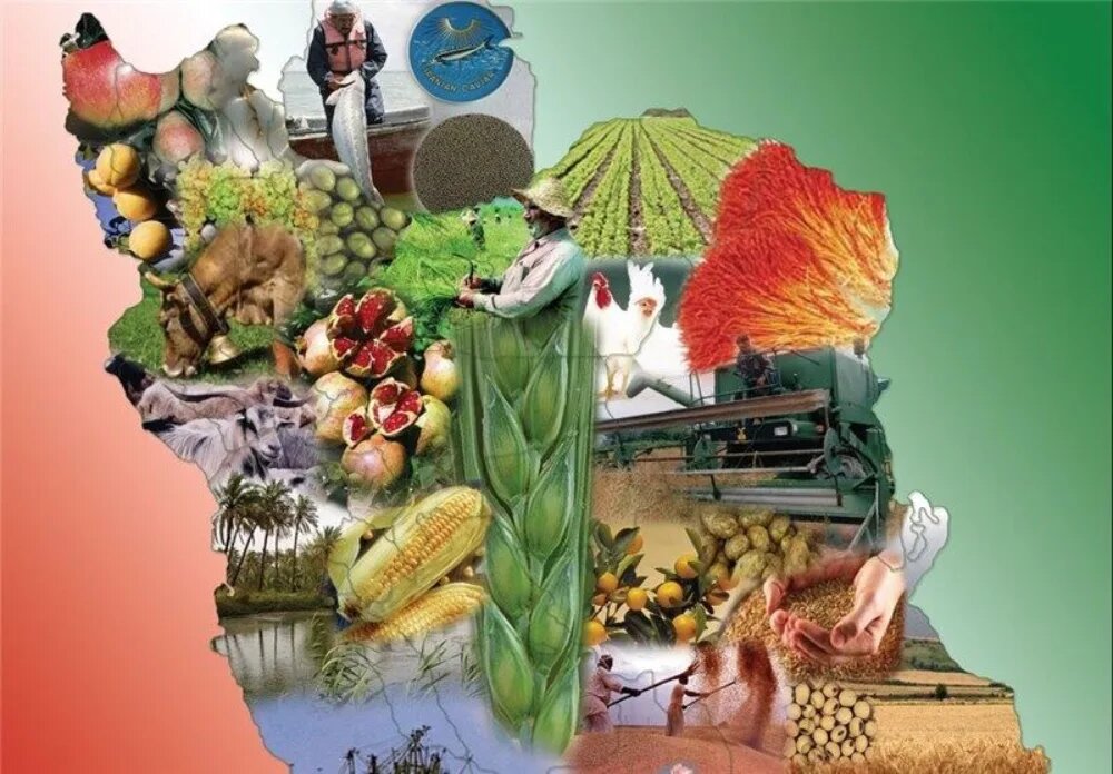 آمار صادرات مواد غذایی