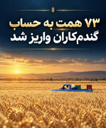 ۷۳ همت به حساب گندم‌کاران واریز شد