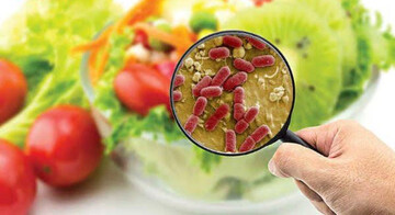 آلودگی ثانویه مواد غذایی چیست؟ علل، انواع، مثال‌ها و راه‌های پیشگیری