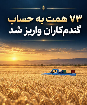 ۷۳ همت به حساب گندم‌کاران واریز شد