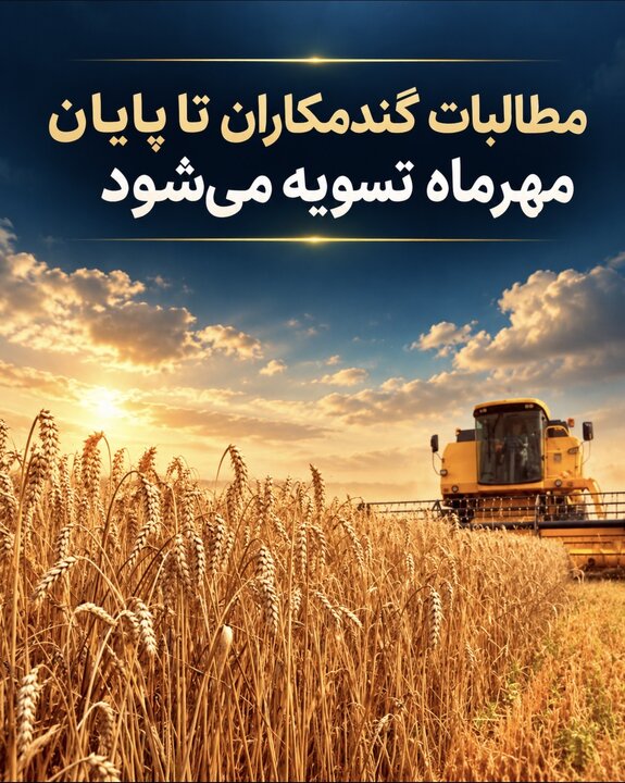 مطالبات گندمکاران تا پایان مهرماه تسویه می‌شود