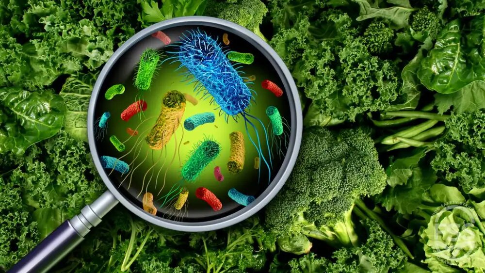 آلودگی ثانویه مواد غذایی چیست