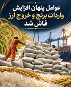 عوامل پنهان افزایش واردات برنج و خروج ارز فاش شد