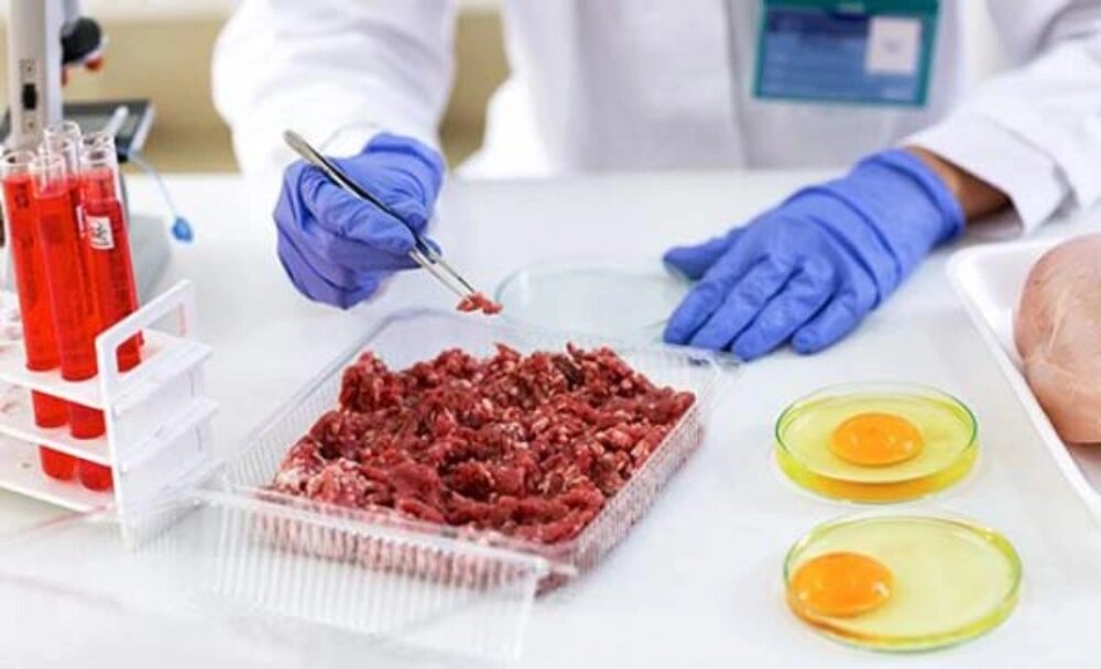 آزمایش های کنترل کیفیت مواد غذایی 