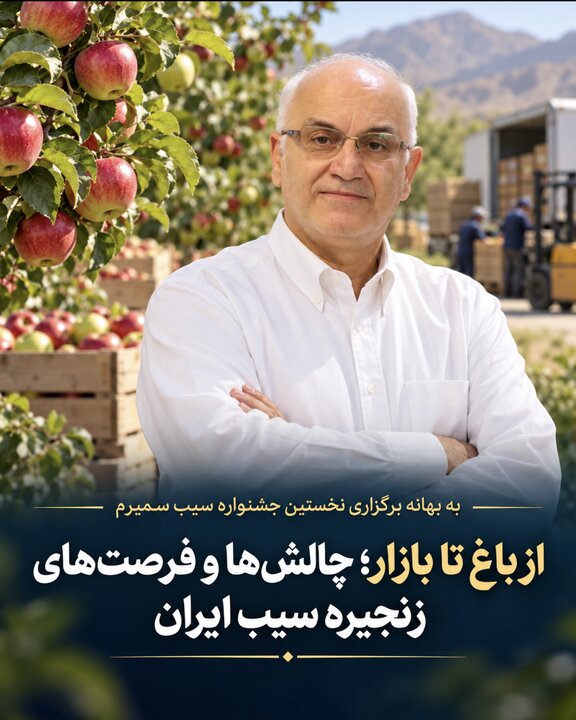 از باغ تا بازار؛ چالش‌ها و فرصت‌های زنجیره سیب ایران