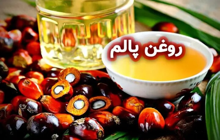 روغن پالم در مواد غذایی چیست؟ کاربردها، مضرات و راه تشخیص