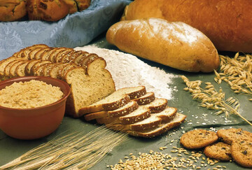 مواد اولیه صنایع غذایی چیست؟ لیست کامل انواع و راهنمای تأمین