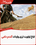 ابلاغ اولویت ارزی واردات گندم دامی