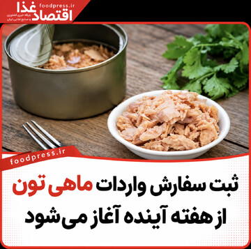 ثبت سفارش واردات ماهی تون از هفته آینده آغاز می‌شود