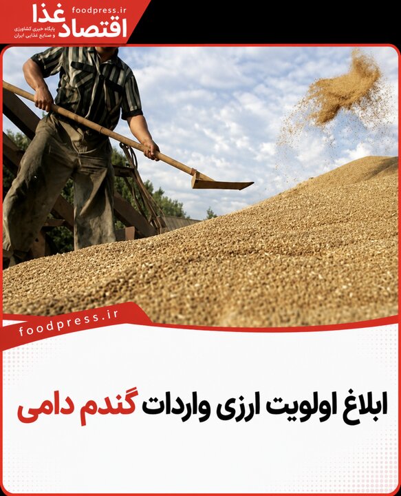ابلاغ اولویت ارزی واردات گندم دامی