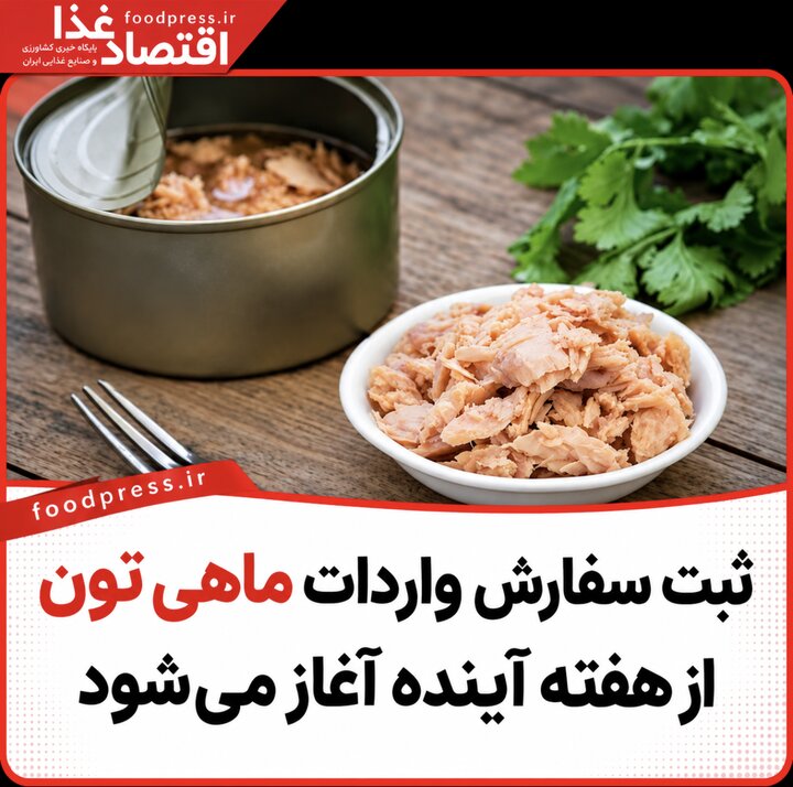 ثبت سفارش واردات ماهی تون از هفته آینده آغاز می‌شود