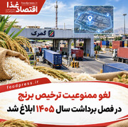 لغو ممنوعیت ترخیص برنج در فصل برداشت سال ۱۴۰۵ ابلاغ شد