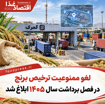 لغو ممنوعیت ترخیص برنج در فصل برداشت سال ۱۴۰۵ ابلاغ شد
