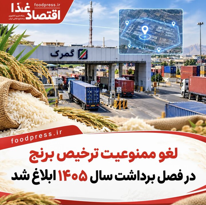 لغو ممنوعیت ترخیص برنج در فصل برداشت سال ۱۴۰۵ ابلاغ شد