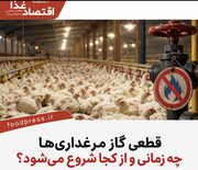 قطعی گاز مرغداری‌ها چه زمانی و از کجا شروع می‌شود؟