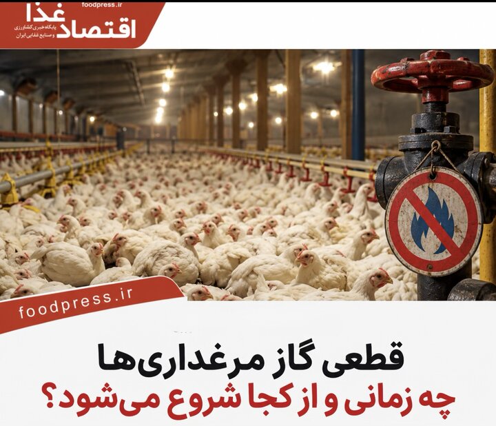 قطعی گاز مرغداری‌ها چه زمانی و از کجا شروع می‌شود؟