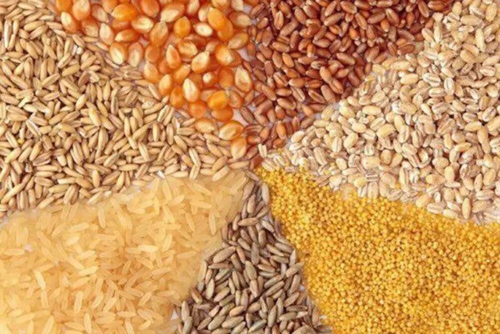 نهاده کشاورزی چیست 