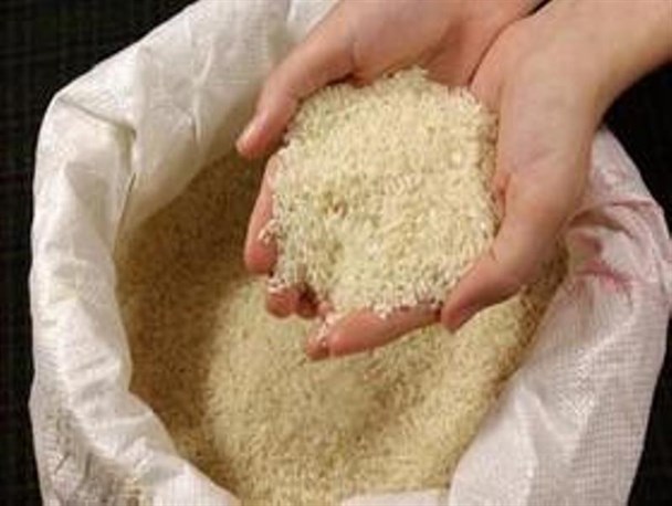  مهر تأیید سازمان غذا و دارو پای برنج‌ها/ از خریداران تعهد گرفتم برنج‌ها پیش از انقضا مصرف شود/ مشتری ۸۲ هزار تن را دارم؛ بانک‌ها در بین متقاضیان