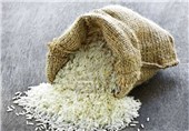 اشباع بازار برنج و بی‌نیازی از واردات