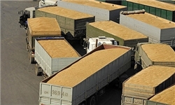 آلمان ۲۳۱ هزار تن گندم به ایران صادر کرد 