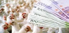 صادرات مرغ به ۱۳ میلیون دلار رسید