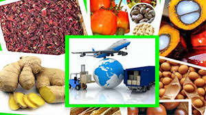 تداوم صادرات محصولات کشاورزی و صنایع غذایی زیر سایه تحریم و کرونا