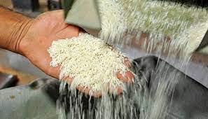 بازار برنج را پیش از گرانی مدیریت کنید