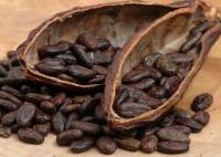 افزایش نرخ های کاکائو، شکر و قهوه در بورس نیویورک