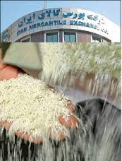 فروش برنج بدون واسطه در بورس کالا