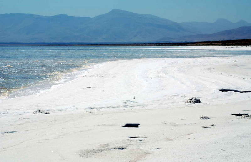 در دریاچه ارومیه برای ۱۸میلیون دلار چغندرقند، ۲۰میلیون دلار آب هدر می‌رفت!