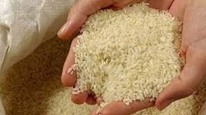 فاصله قیمتی ۱۴ هزار تومانی خرید برنج از کشاورز تا مصرف کننده/ سوء استفاده دلال‌ها از پاسکاری وزارت جهادکشاورزی و صمت