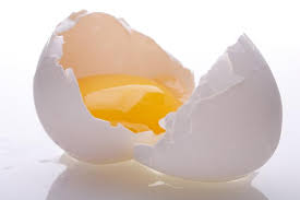 تخم مرغ فاسد عامل درمانی بیماری ام اس