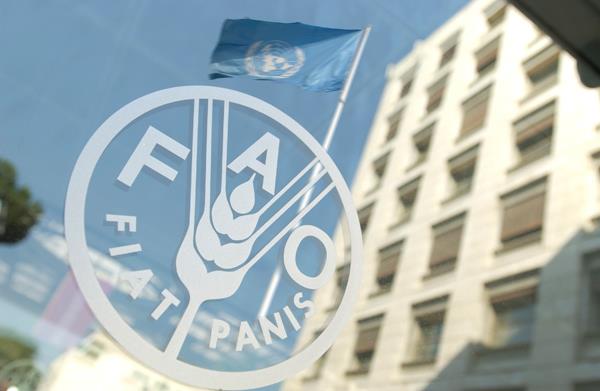 گزارش فائو از نقش مهم ایران در تأمین غذای جهان/ رتبه‌های ۱ تا ۲۰ ایران در صادرات ۲۵ محصول