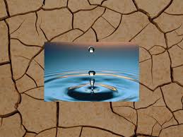 بحران آب و صادرات 720 هزار تن " آب مجازی" به عراق 