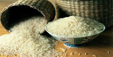 از سرگیری واردات برنج های سمی از هند