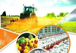 شاخص قیمت تولید دام و زراعت در فصل پاییز 7.8 درصد افزایش یافت