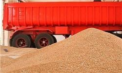 بخش خصوصی ایران در یک هفته ۵۰ هزار تن گندم خرید
