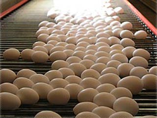 ایران به جمع صادرکنندگان مواد غذایی به روسیه پیوست/ صادرات ماهانه ۵۰۰۰ تن تخم مرغ 