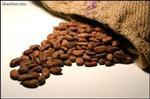 افزایش نرخ کاکائو و قهوه در بورس نیویورک