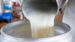 دلایل وزارت جهاد کشاورزی برای افزایش قیمت شیرخام