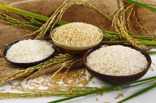 قیمت خرید تضمینی انواع برنج برای سال زراعی 97-96