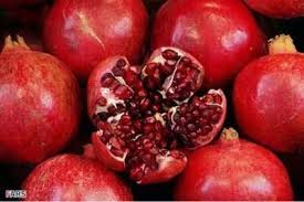 هسته کدام میوه ها ضد سرطان هستند 