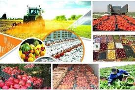 صادرات محصولات کشاورزی در شرایط کرونا هم رکورد زد