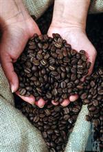 کاهش نرخ کاکائو وقهوه و افزایش قیمت شکر