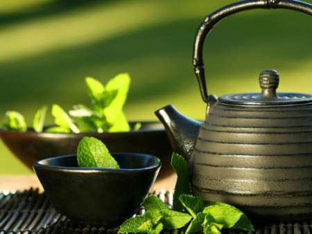 افزایش 10درصدی چای سبز برداشتی نسبت به سال گذشته