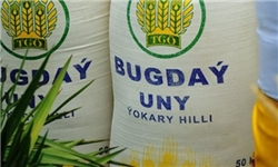 ایران امسال 4.5 میلیون تن گندم وارد می‌کند