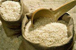 برنج خارجی با افزایش تعرفه گران شده؛ کمبود نداریم 