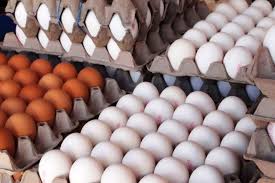 تخم مرغ ارزان تر از نرخ مصوب شد